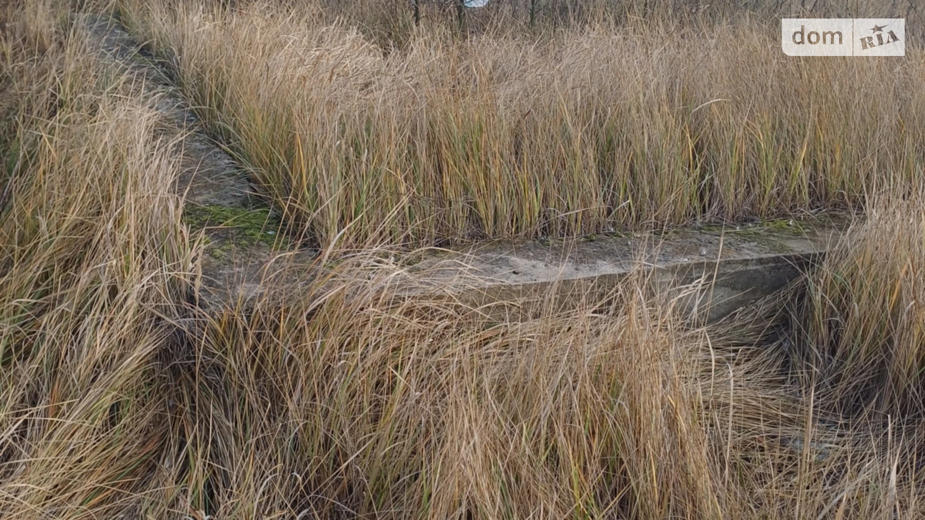 Продается земельный участок 12.5 соток в Черкасской области, цена: 10000 $ - фото 5