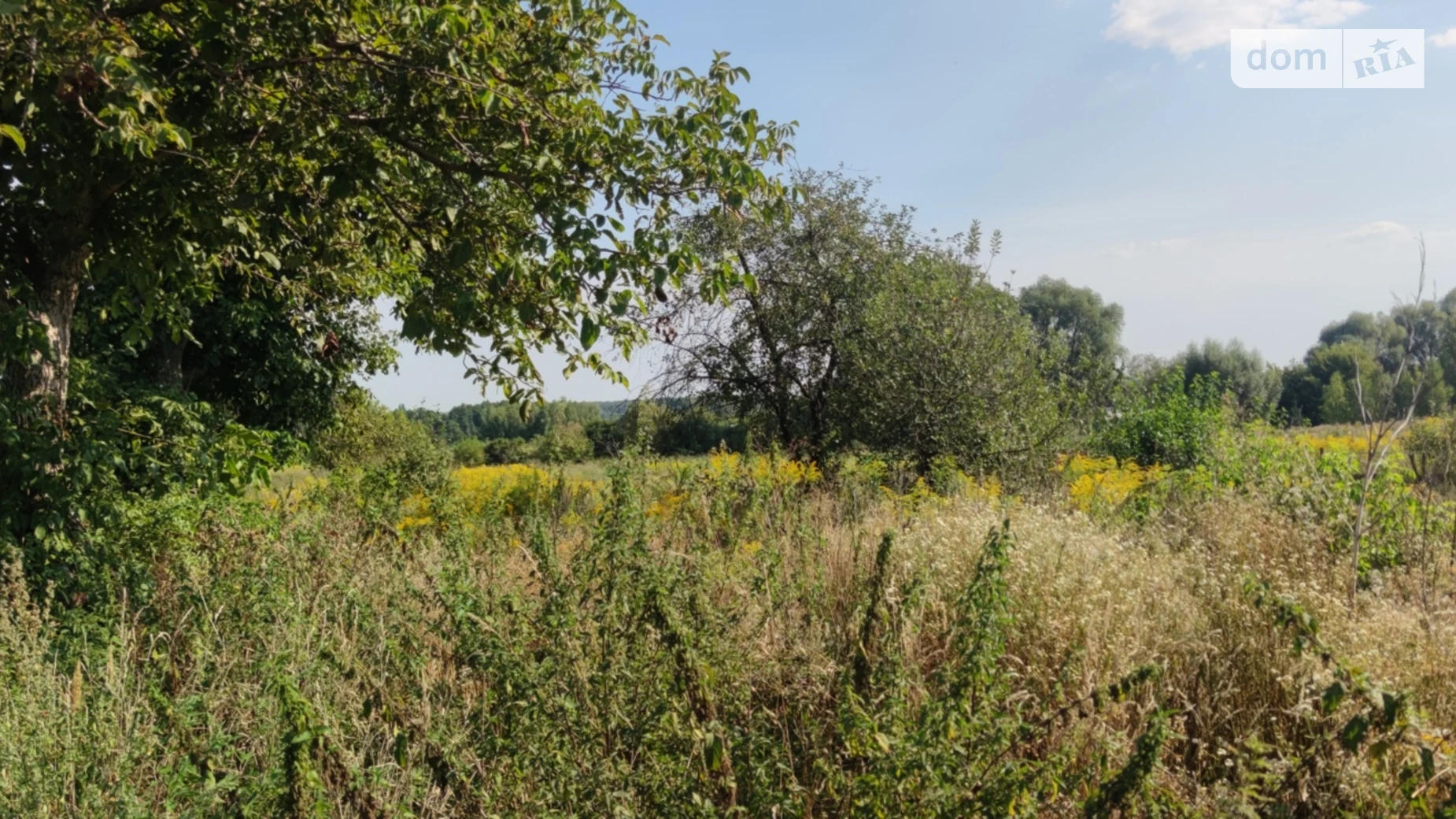 вул. Миру(Леніна) Ситняки, цена: 12200 $ - фото 3