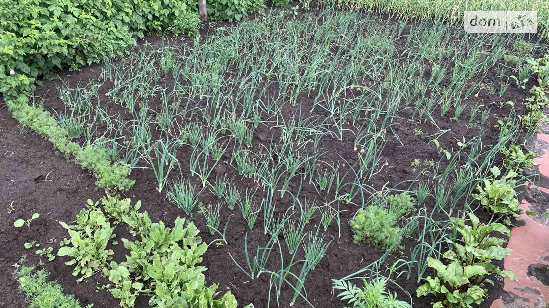 вул. 6-а лінія Ірпінь, цена: 10000 $ - фото 2