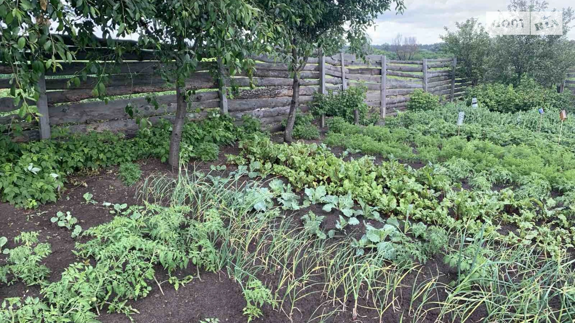 вул. 6-а лінія Ірпінь, цена: 10000 $ - фото 3