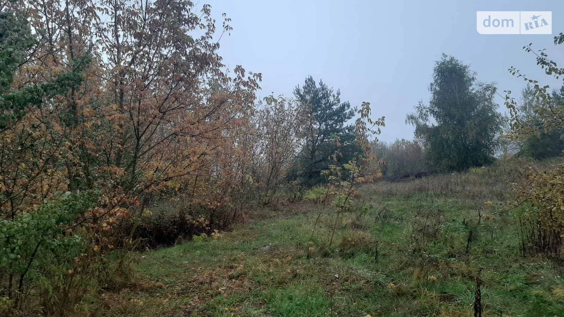 Добрин, цена: 3520 грн - фото 2