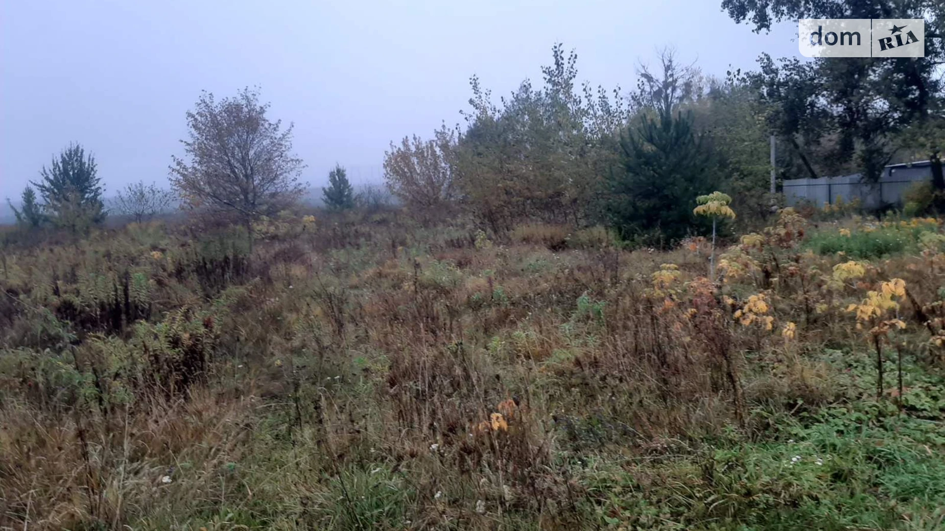 Добрин, цена: 3520 грн - фото 3