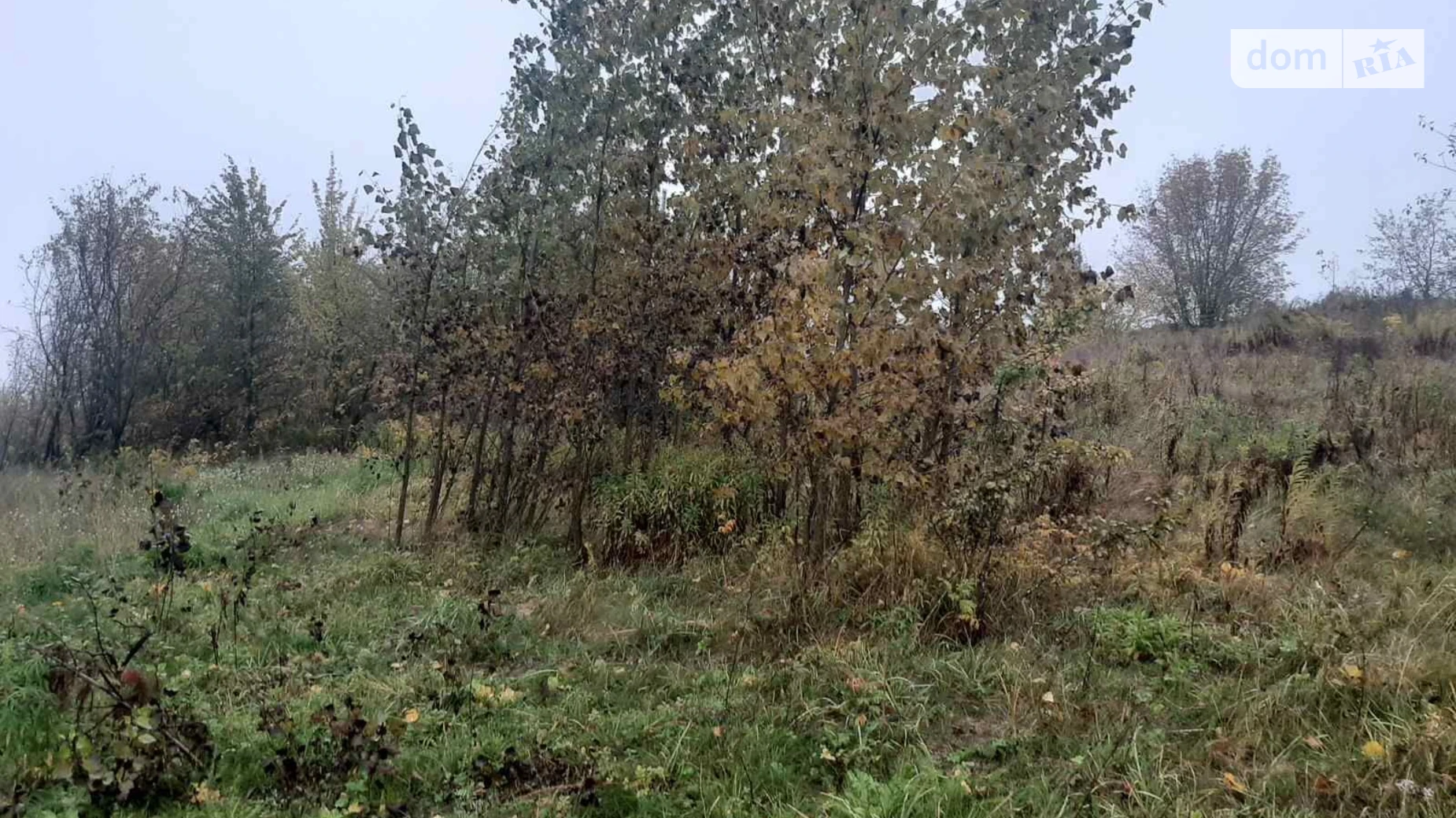 Добрин, цена: 3520 грн - фото 4