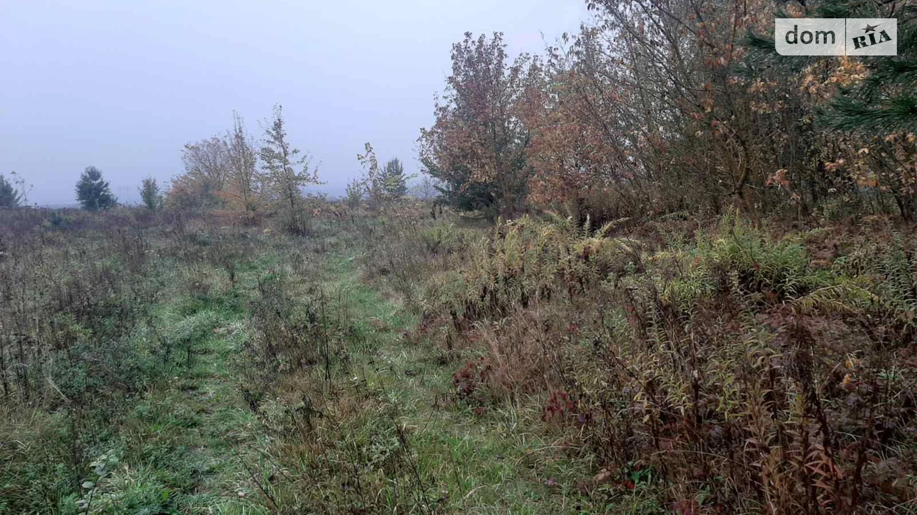 Добрин, цена: 3520 грн - фото 5