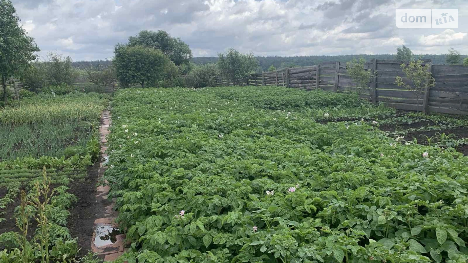 вул. 6-а лінія Ірпінь, цена: 10000 $ - фото 4