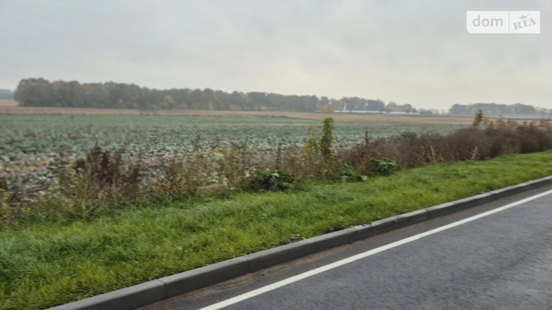 Продается земельный участок 150 соток в Винницкой области, цена: 110000 $ - фото 2