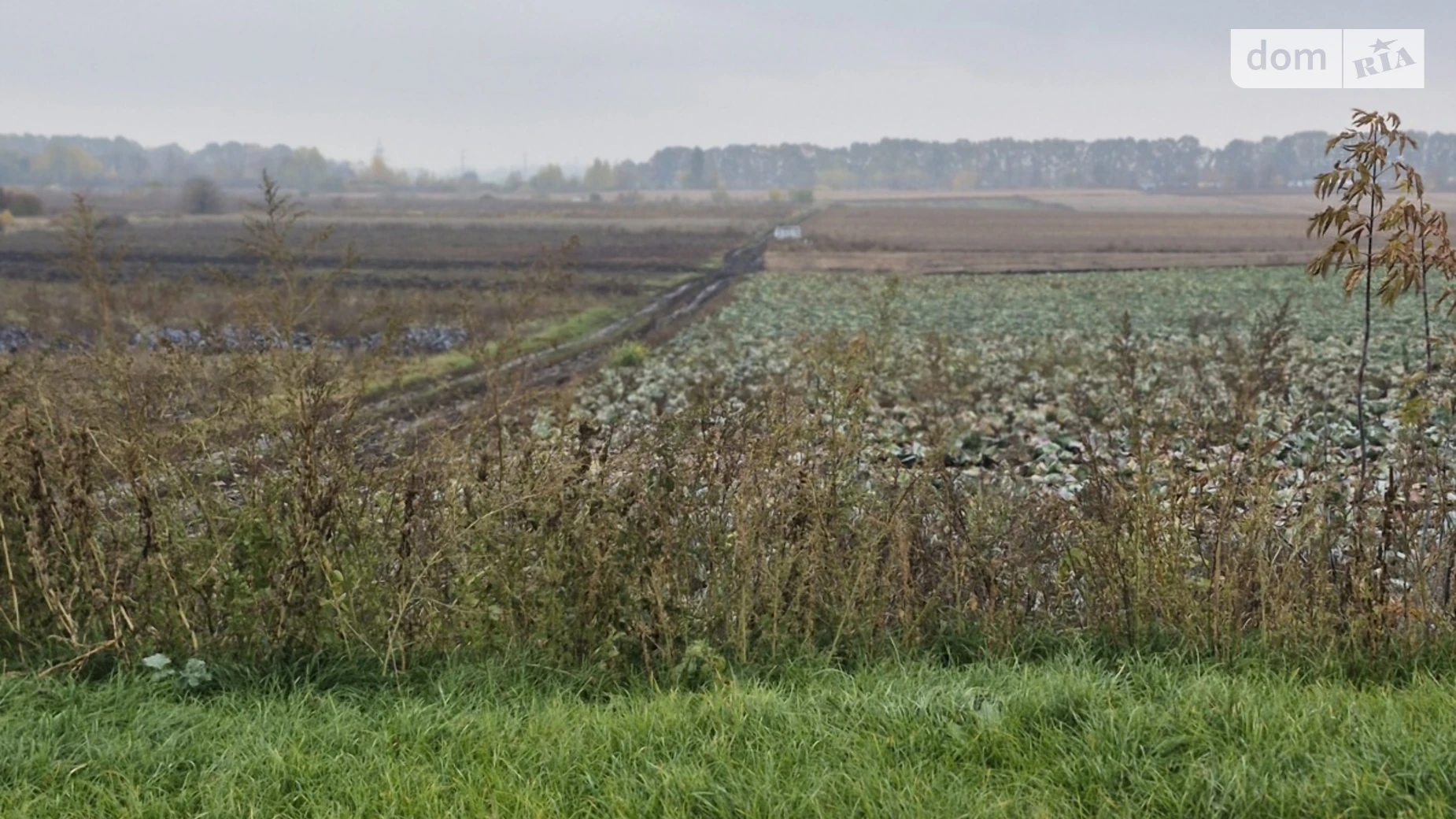 Продается земельный участок 150 соток в Винницкой области, цена: 110000 $ - фото 3