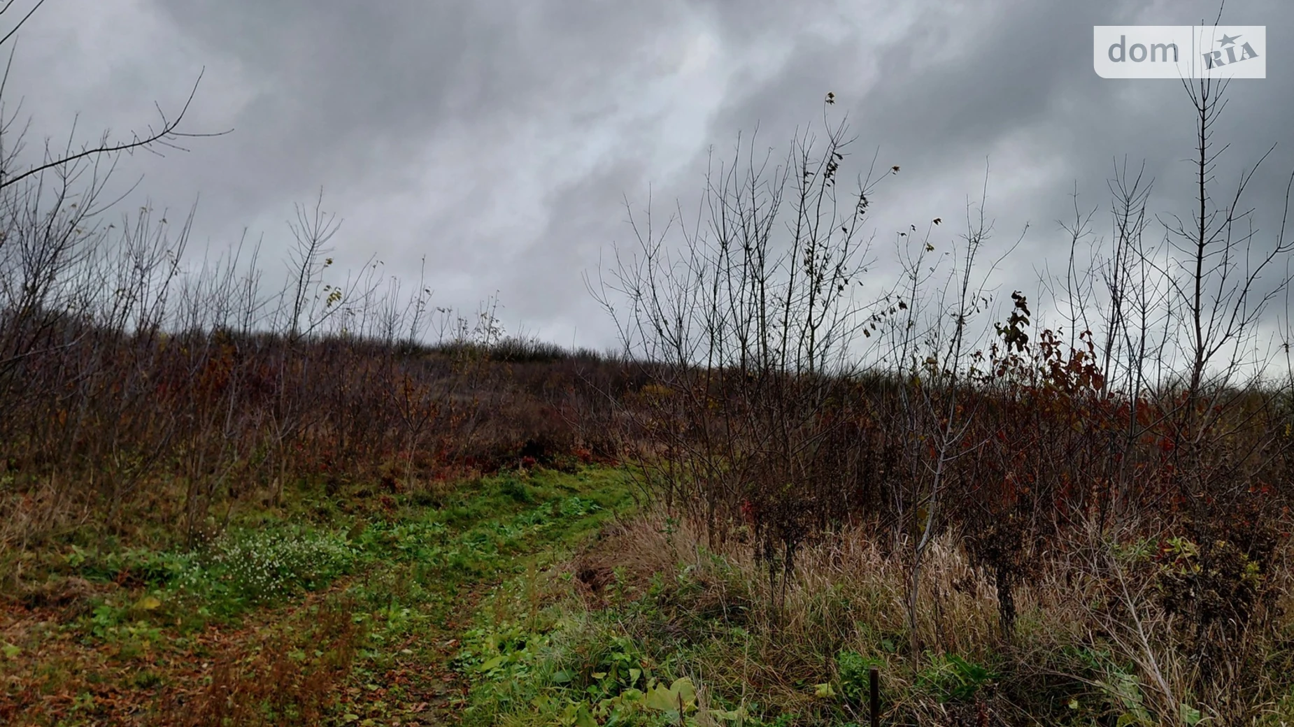 Продается земельный участок 6 соток в Тернопольской области, цена: 13000 $ - фото 2