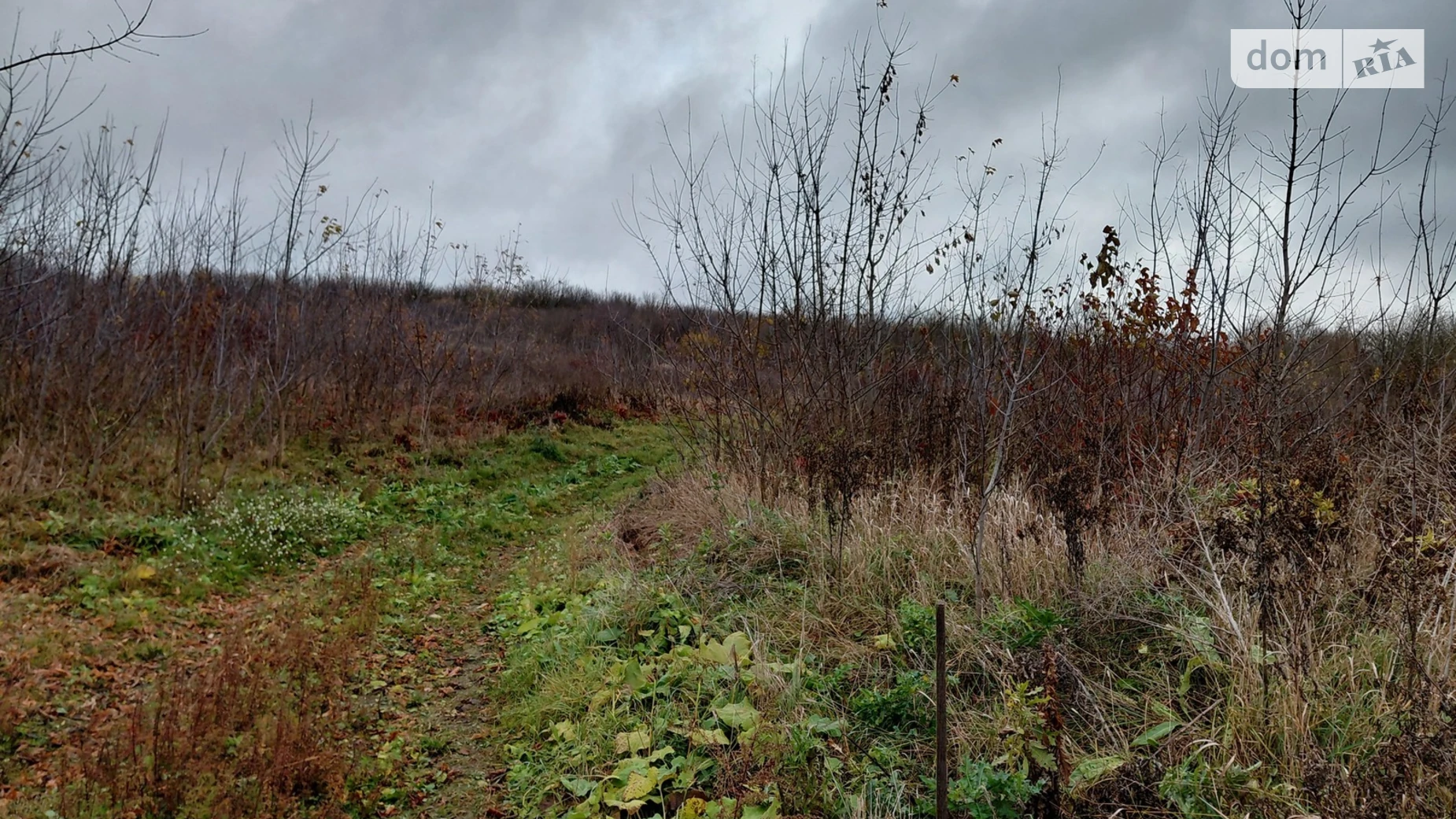 Продается земельный участок 6 соток в Тернопольской области, цена: 13000 $ - фото 3