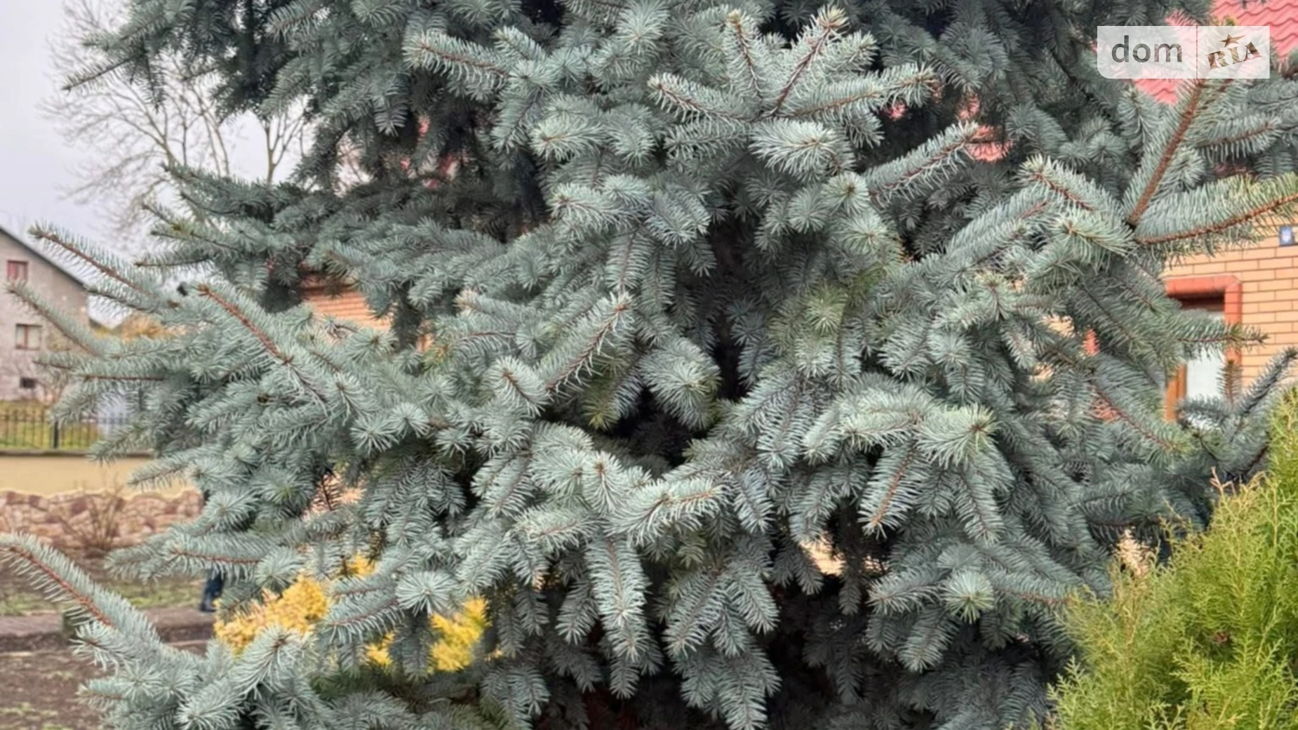 Продается одноэтажный дом 137.3 кв. м с беседкой, цена: 200000 $ - фото 4