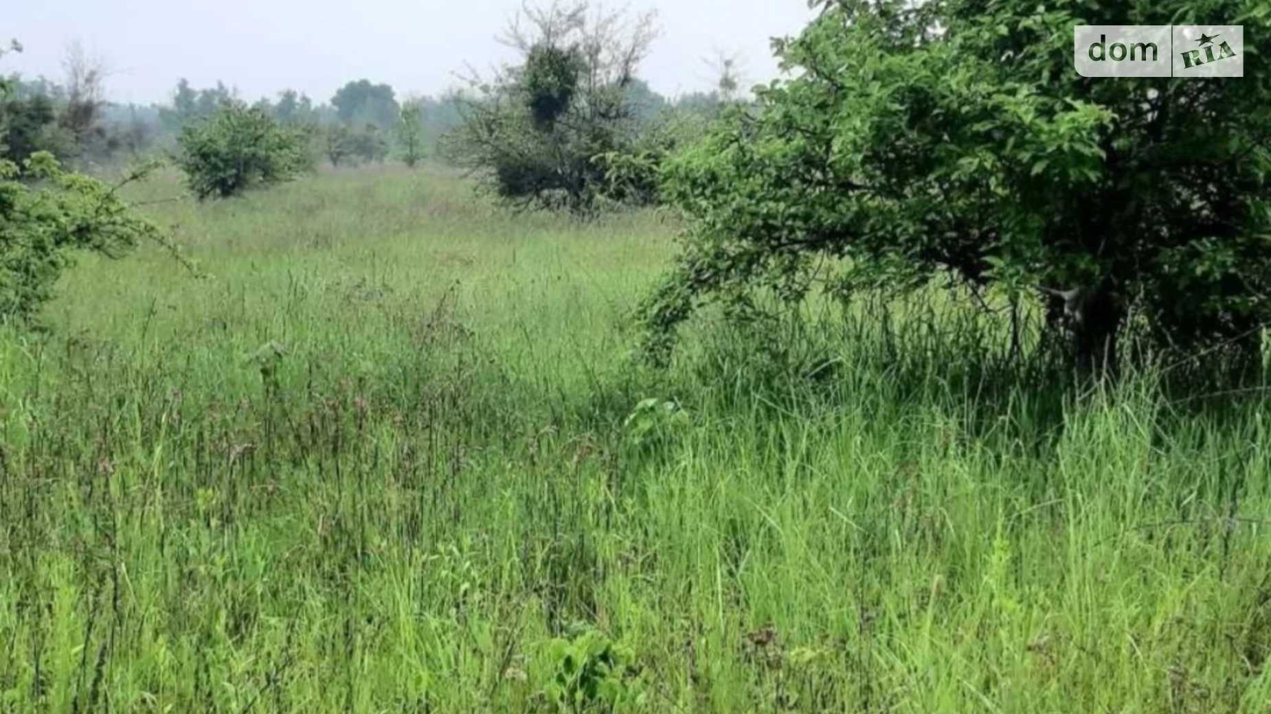 Продается земельный участок 20 соток в Киевской области, цена: 11999 $ - фото 5