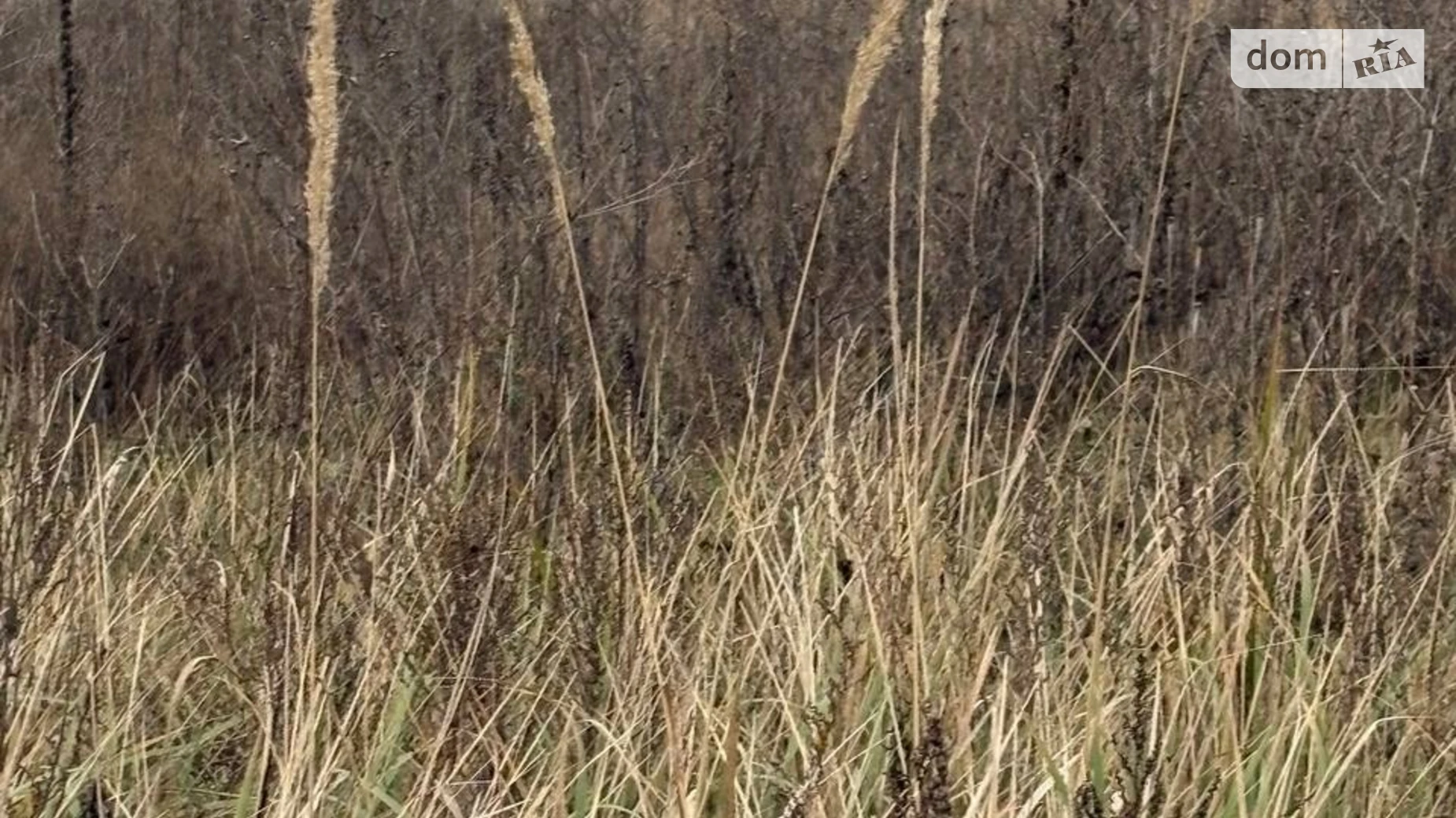 Михайлівка-Рубежівка (Ірпінь), цена: 32000 $ - фото 5