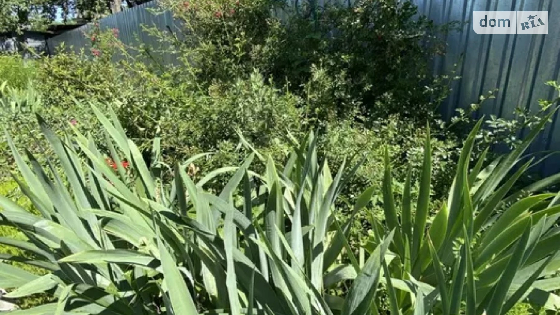 Продается земельный участок 6 соток в Киевской области, цена: 50000 $ - фото 5