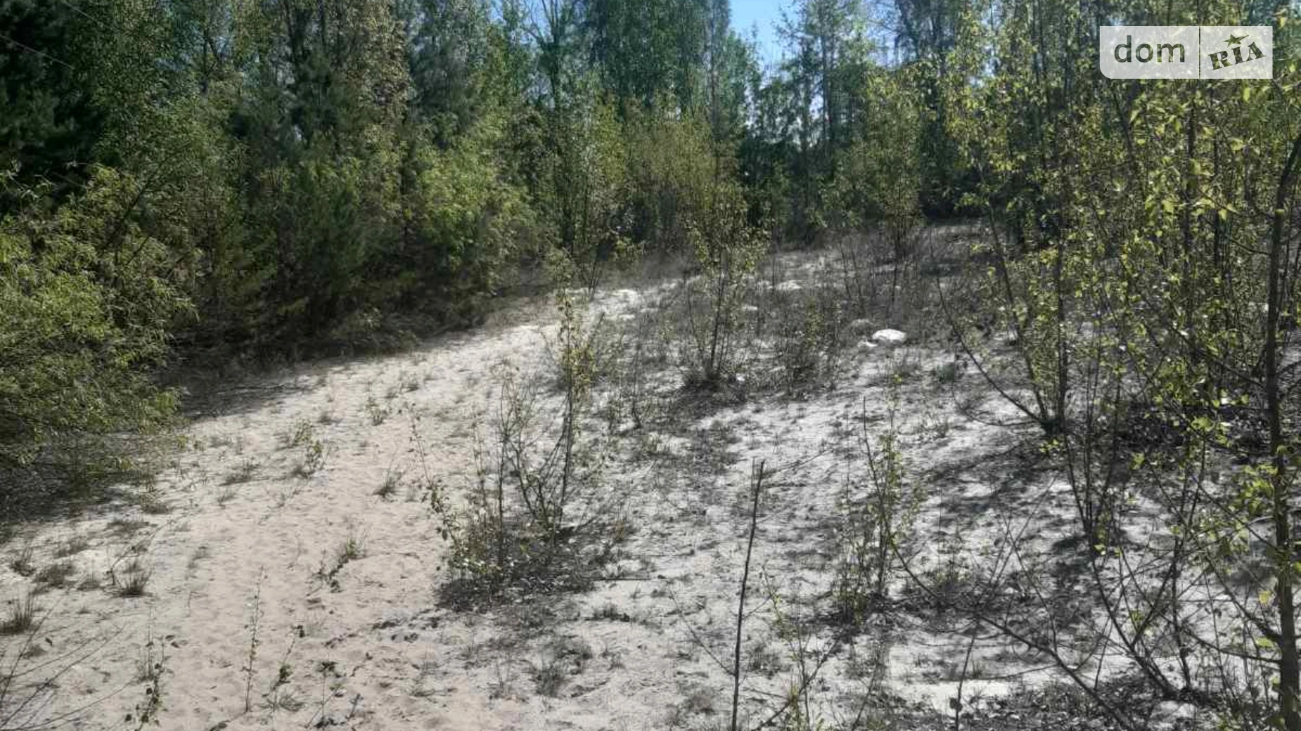 мас. Оріяна Плюти, цена: 270000 $ - фото 3