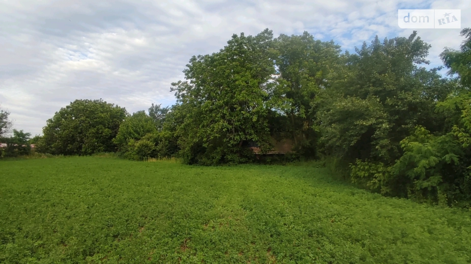 Продается одноэтажный дом 90 кв. м с бассейном, цена: 15000 $ - фото 4