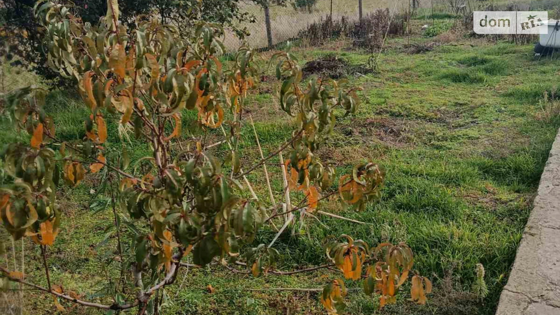 Продается одноэтажный дом 63 кв. м с верандой, цена: 12000 $ - фото 2