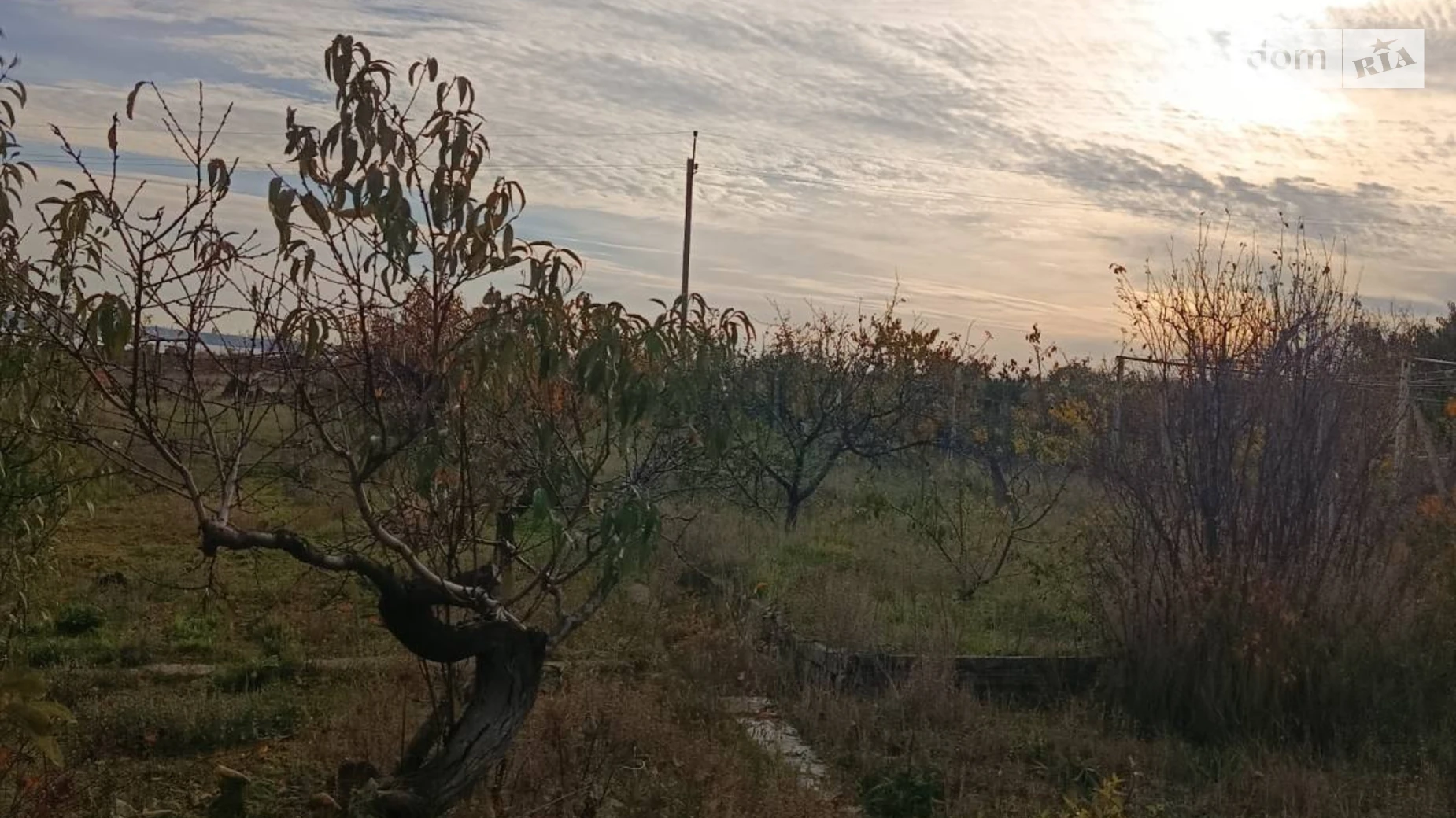 Продается одноэтажный дом 63 кв. м с верандой, цена: 12000 $ - фото 4