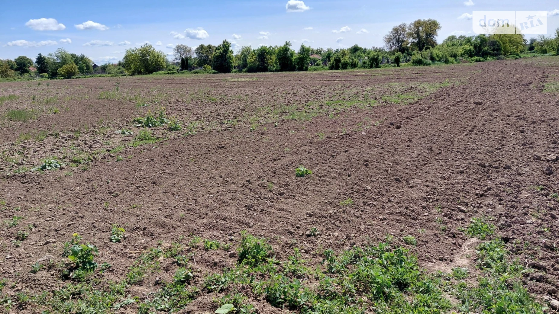 Тарновцы, цена: 27000 $ - фото 2