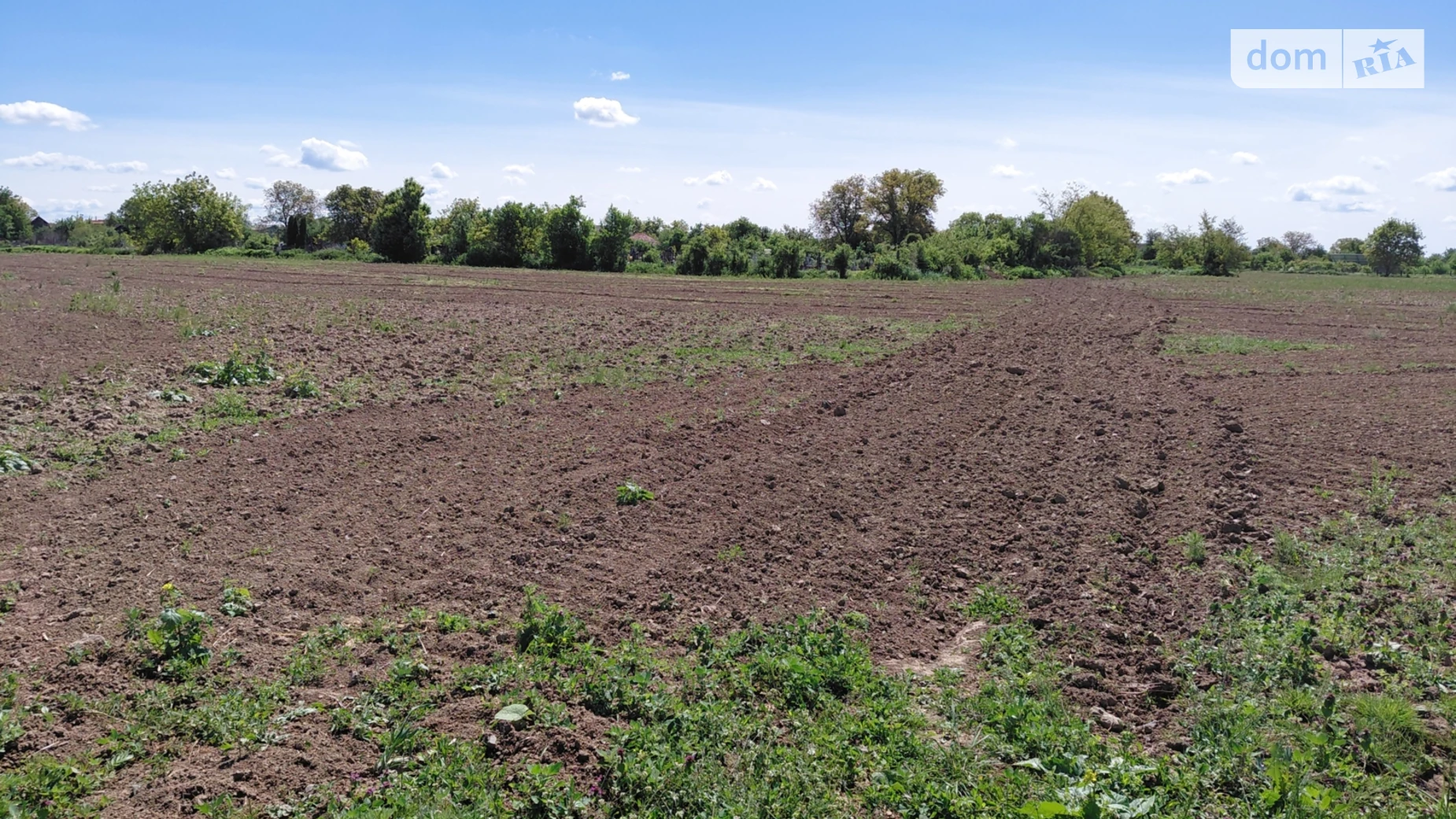 Тарновцы, цена: 27000 $ - фото 3