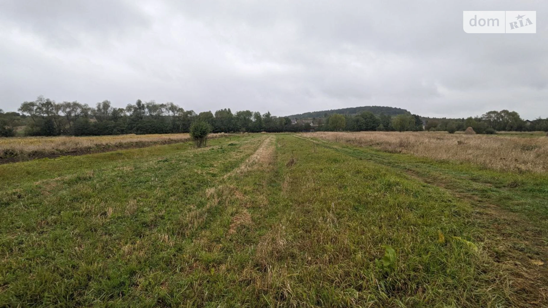 Продается земельный участок 13.75 соток в Ивано-Франковской области, цена: 26500 $ - фото 5