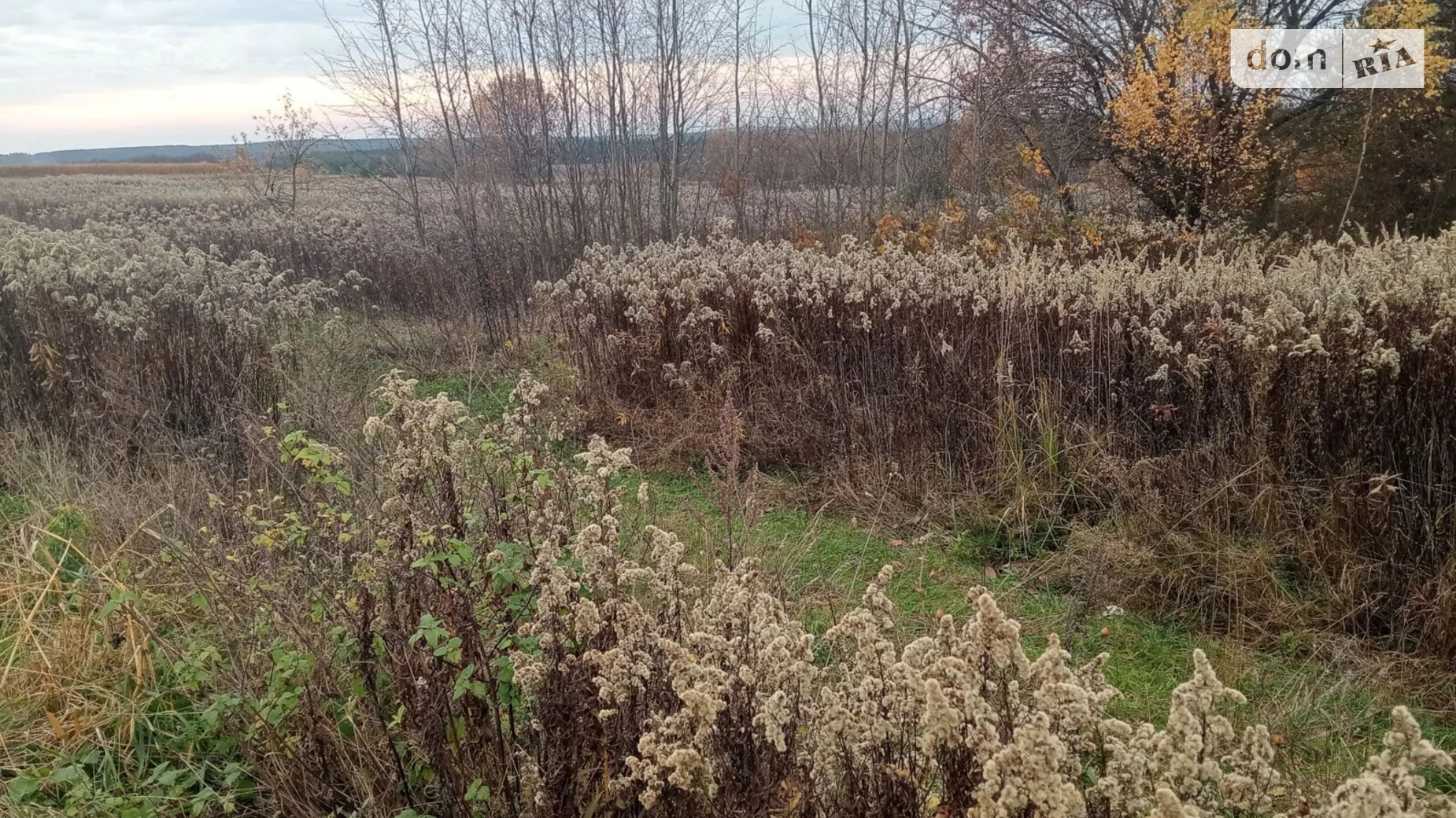 Чернилява, цена: 15755 грн - фото 2