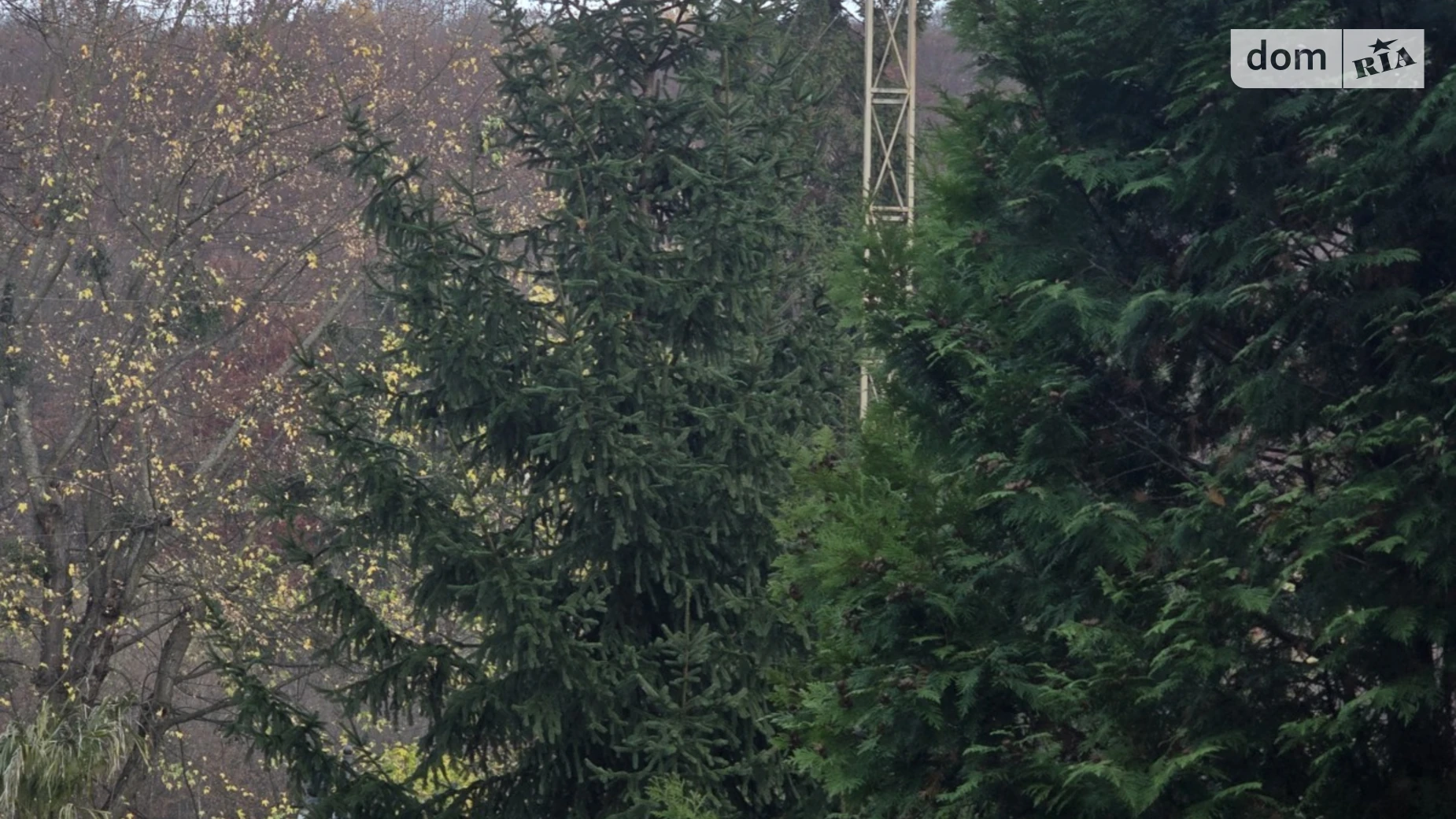 Продается 1-комнатная квартира 23 кв. м в, цена: 22500 $ - фото 3