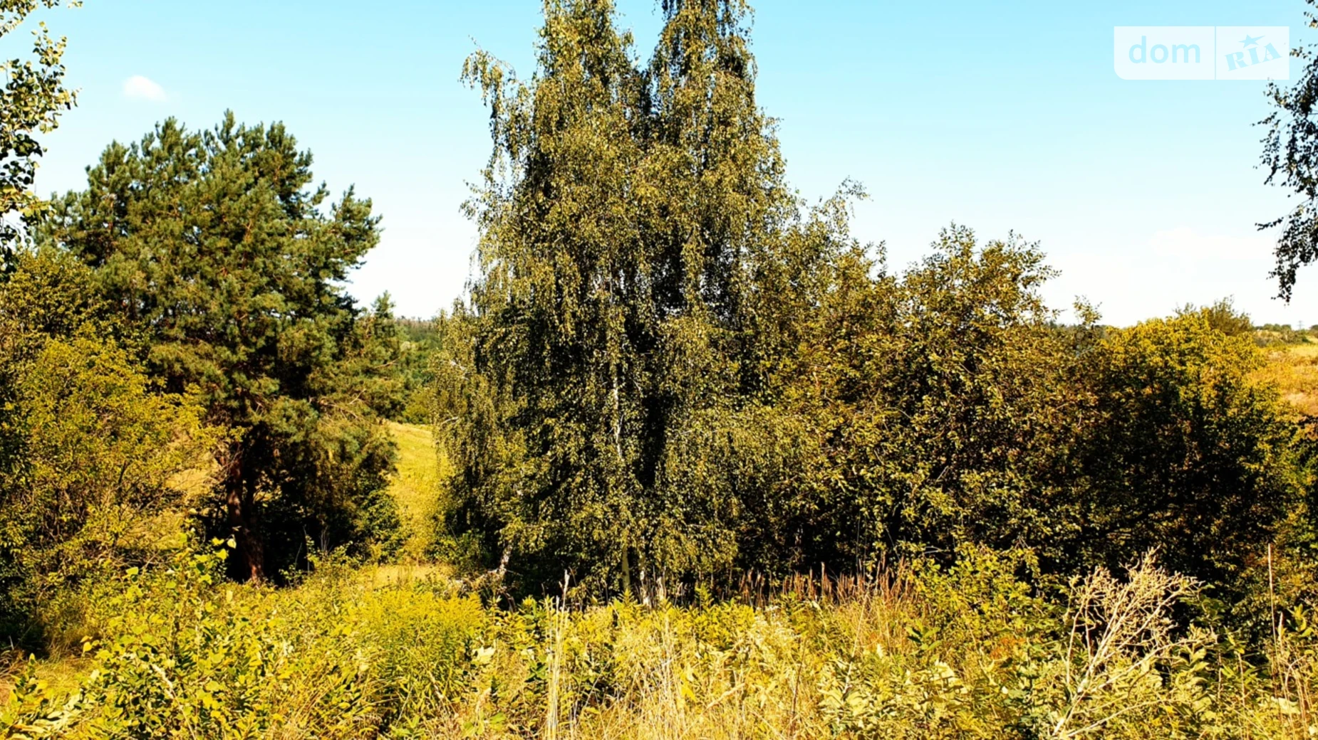 Продается земельный участок 25 соток в Киевской области, цена: 17775 $ - фото 2