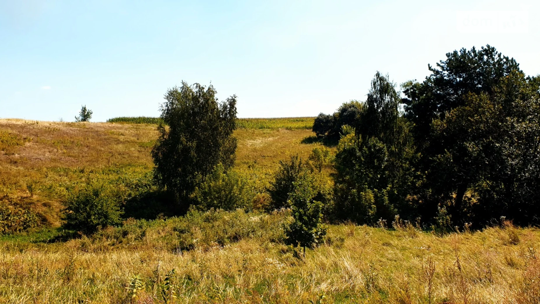 Продается земельный участок 25 соток в Киевской области, цена: 17775 $ - фото 3