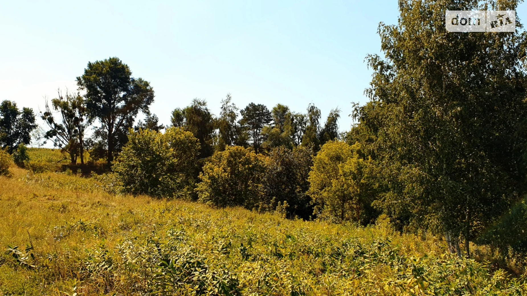 Продается земельный участок 25 соток в Киевской области, цена: 17775 $ - фото 5