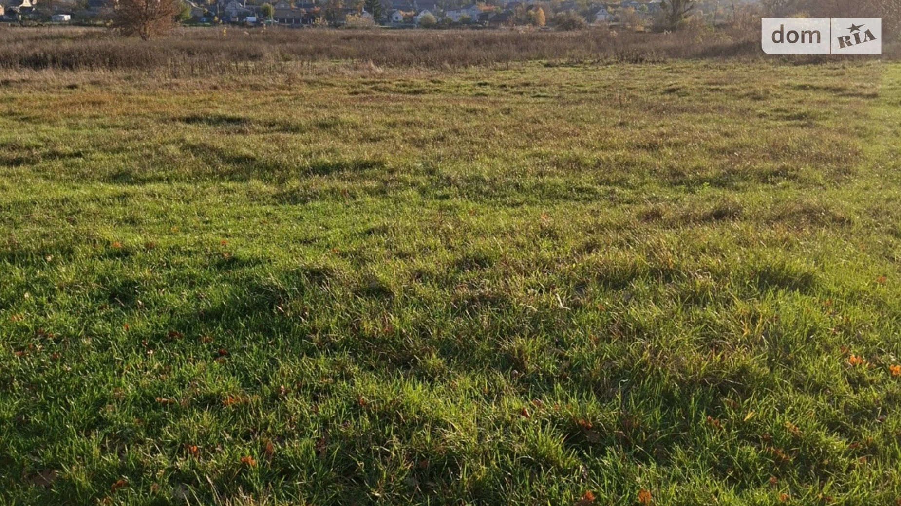 ул. Садовая Михайловка-Рубежовка (Ирпень), цена: 47950 $ - фото 3