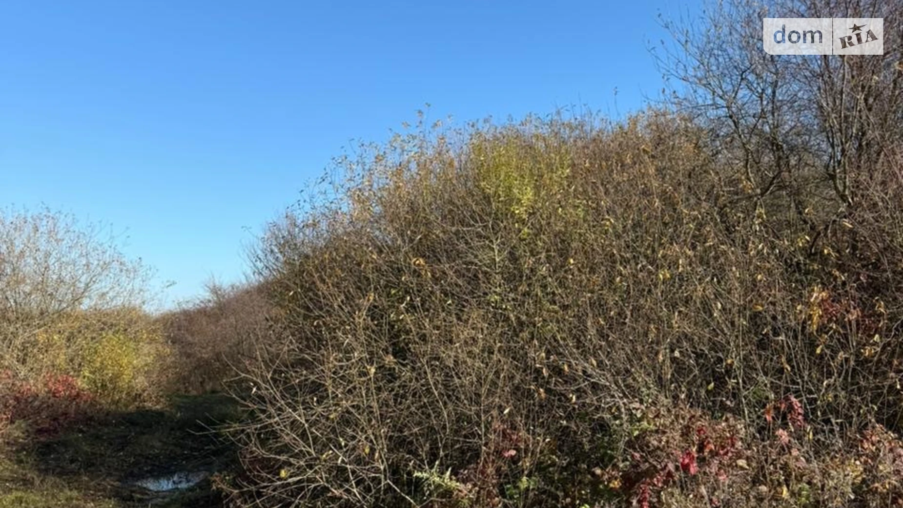 Продается земельный участок 1.9993 соток в Закарпатской области, цена: 15000 $ - фото 2
