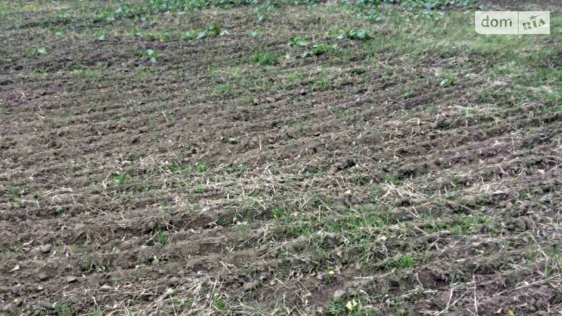 Сдается в аренду земельный участок 1.8231 соток в Киевской области, цена: 9128 грн - фото 2