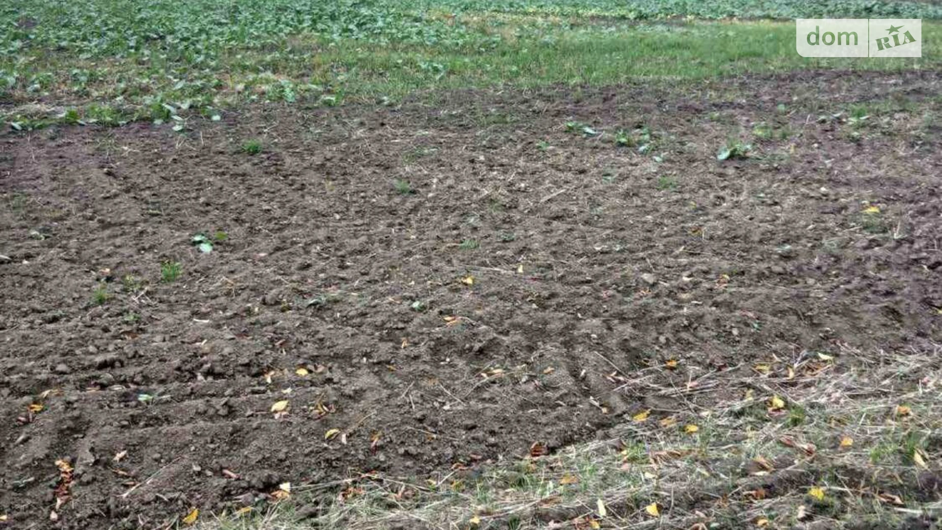 Сдается в аренду земельный участок 1.8231 соток в Киевской области, цена: 9128 грн - фото 3