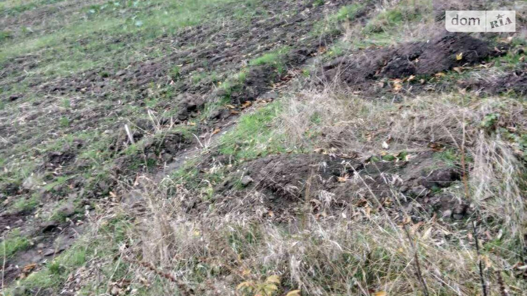 Сдается в аренду земельный участок 1.8231 соток в Киевской области, цена: 9128 грн - фото 4