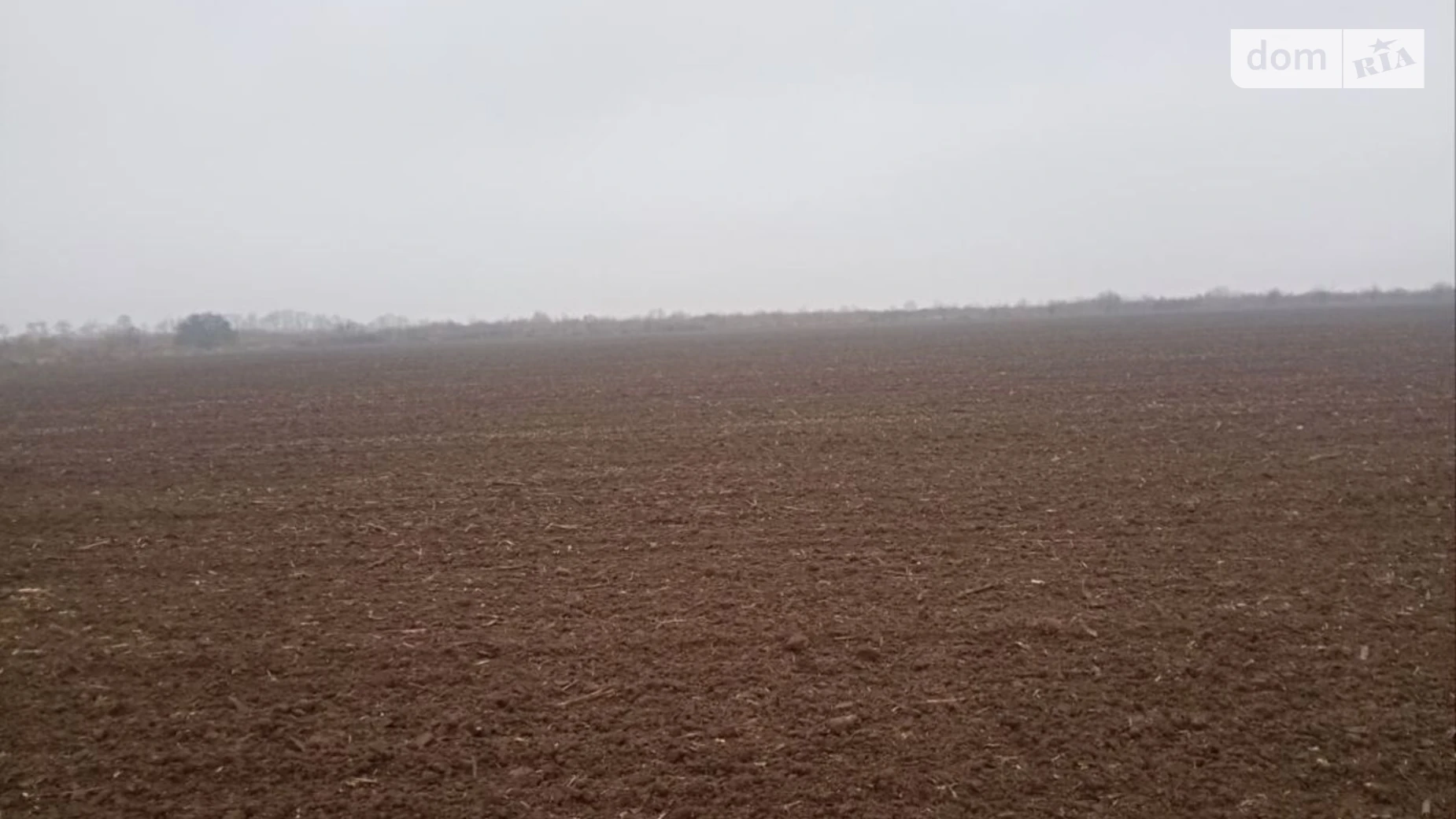 Сдается в аренду земельный участок 2 соток в Хмельницкой области, цена: 5864 грн - фото 3