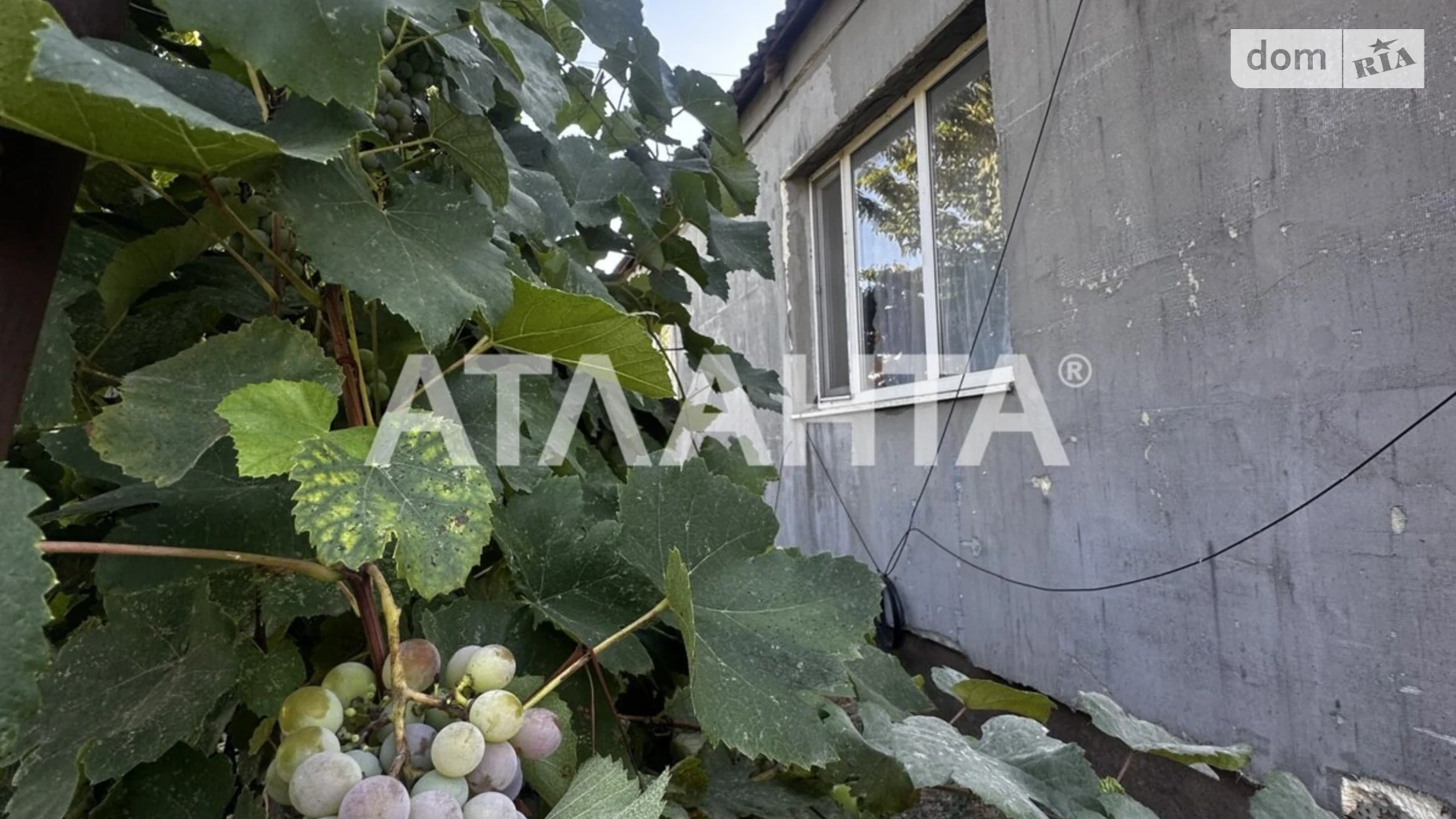 Продается одноэтажный дом 80.1 кв. м с мебелью, цена: 24900 $ - фото 4