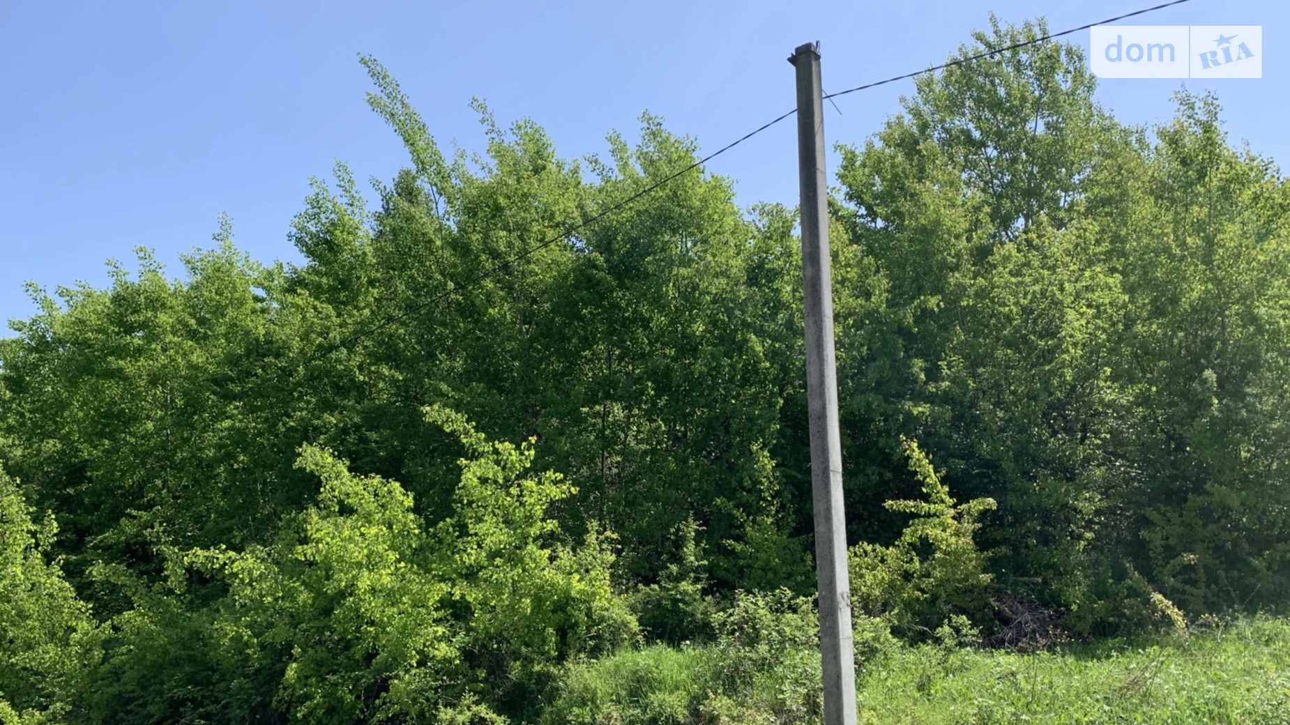 Продается земельный участок 10 соток в Закарпатской области, цена: 10000 $ - фото 2