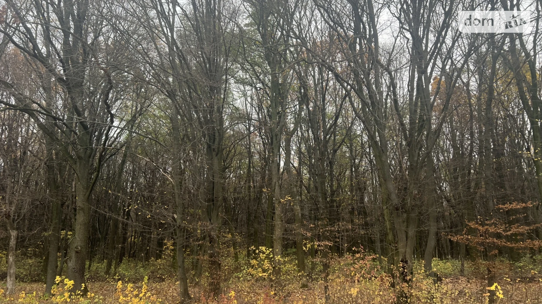 ул. Инженерная Зарванцы, цена: 94900 $ - фото 4