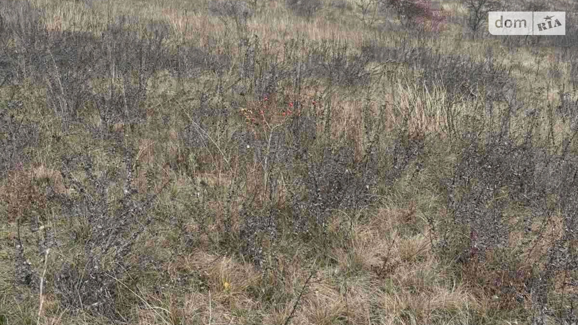 Здається в оренду земельна ділянка 12 соток у Черкаській області, цена: 51590 грн - фото 2