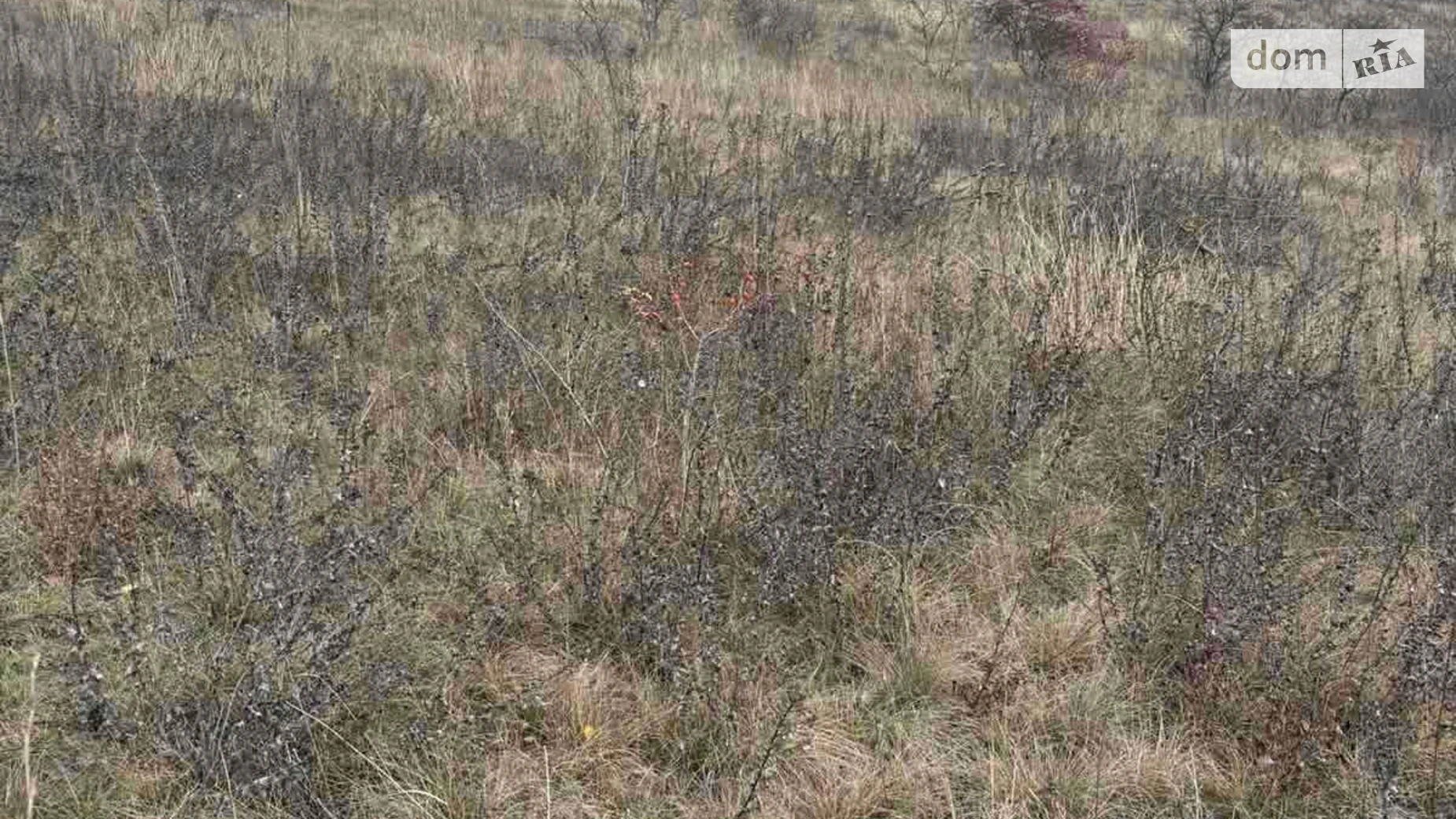 Здається в оренду земельна ділянка 12 соток у Черкаській області, цена: 51590 грн - фото 3