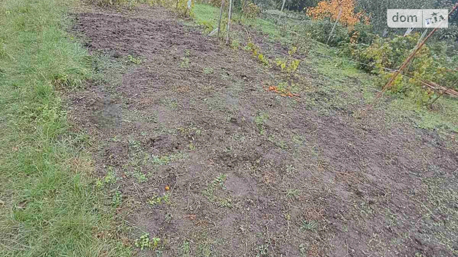 Продается земельный участок 10 соток в Винницкой области, цена: 23000 $ - фото 2