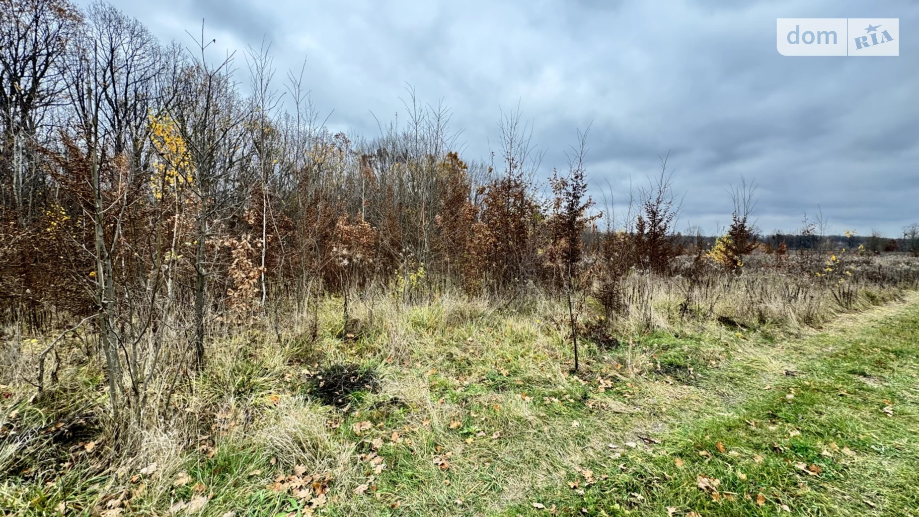 ул. Липовая Якушинцы, цена: 10000 $ - фото 2