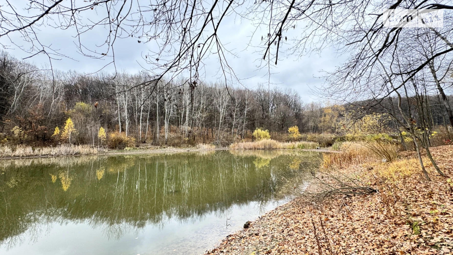 ул. Липовая Якушинцы, цена: 10000 $ - фото 3