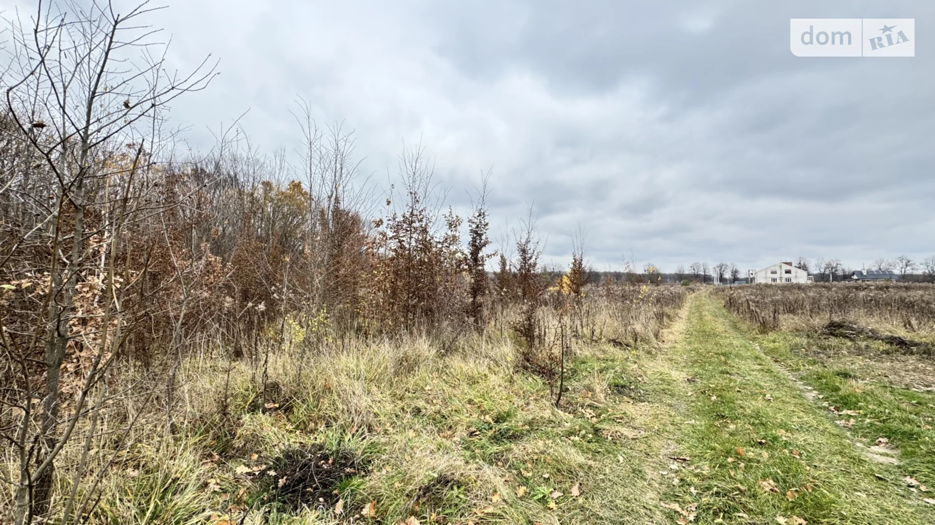 ул. Липовая Якушинцы, цена: 10000 $ - фото 5