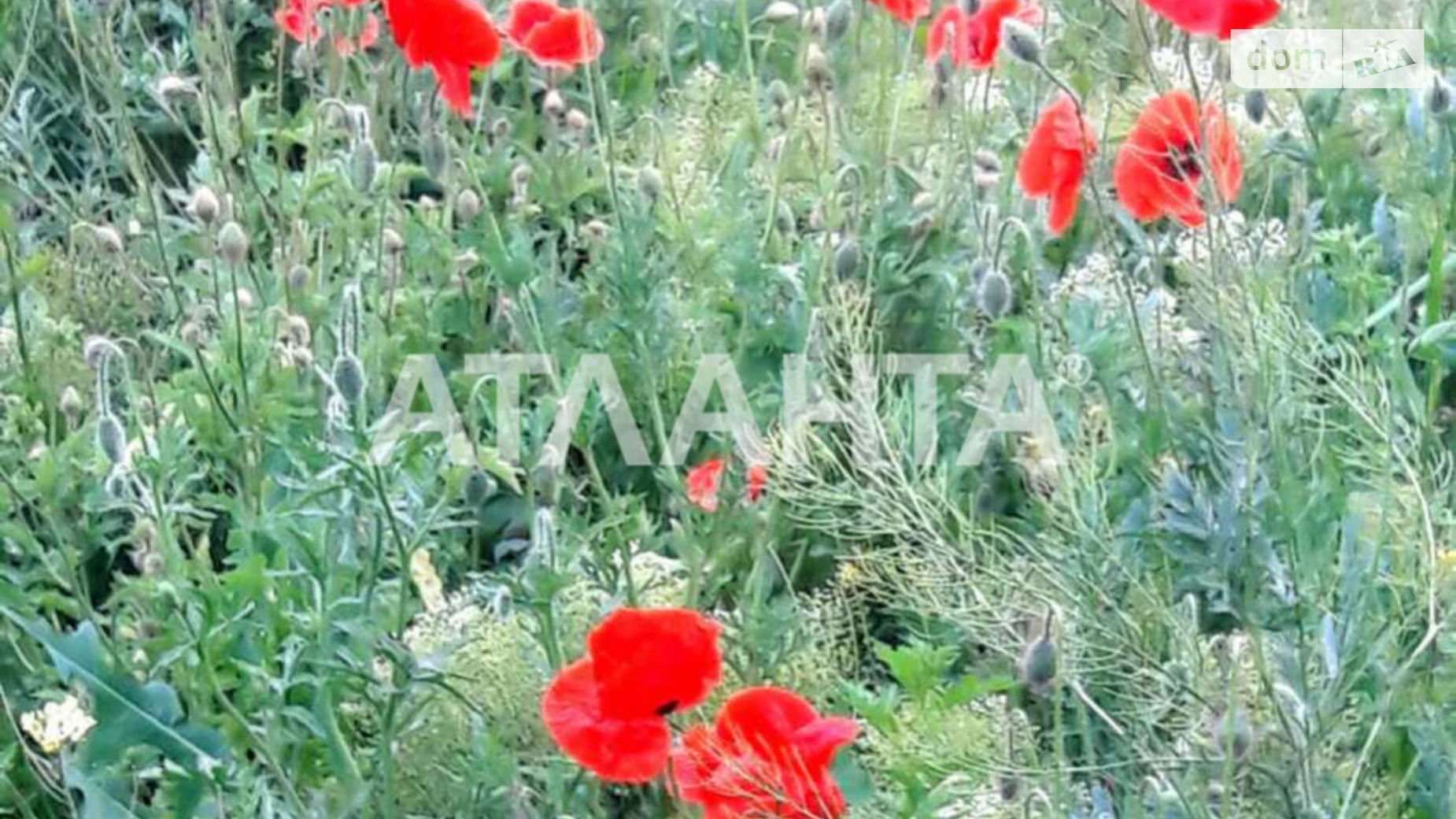 Продається земельна ділянка 6 соток у Одеській області, цена: 10000 $ - фото 3