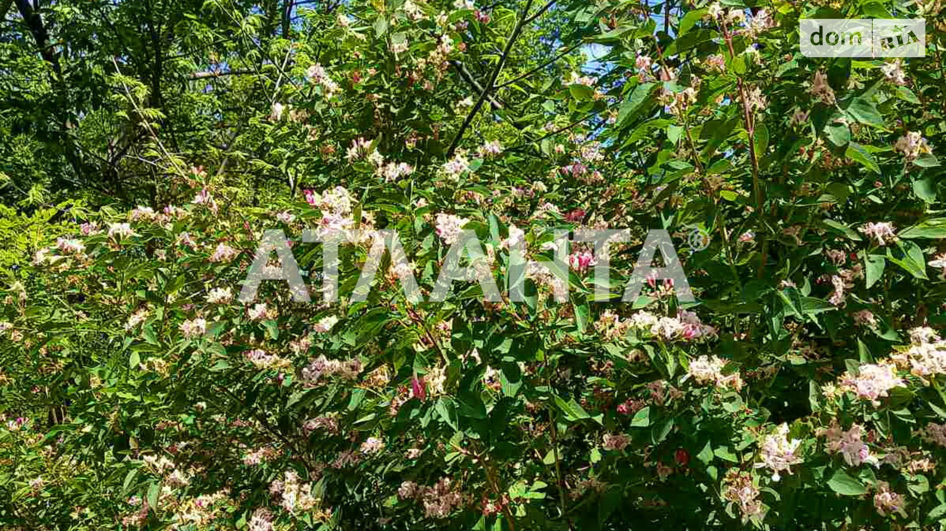 Продається земельна ділянка 6 соток у Одеській області, цена: 10000 $ - фото 5