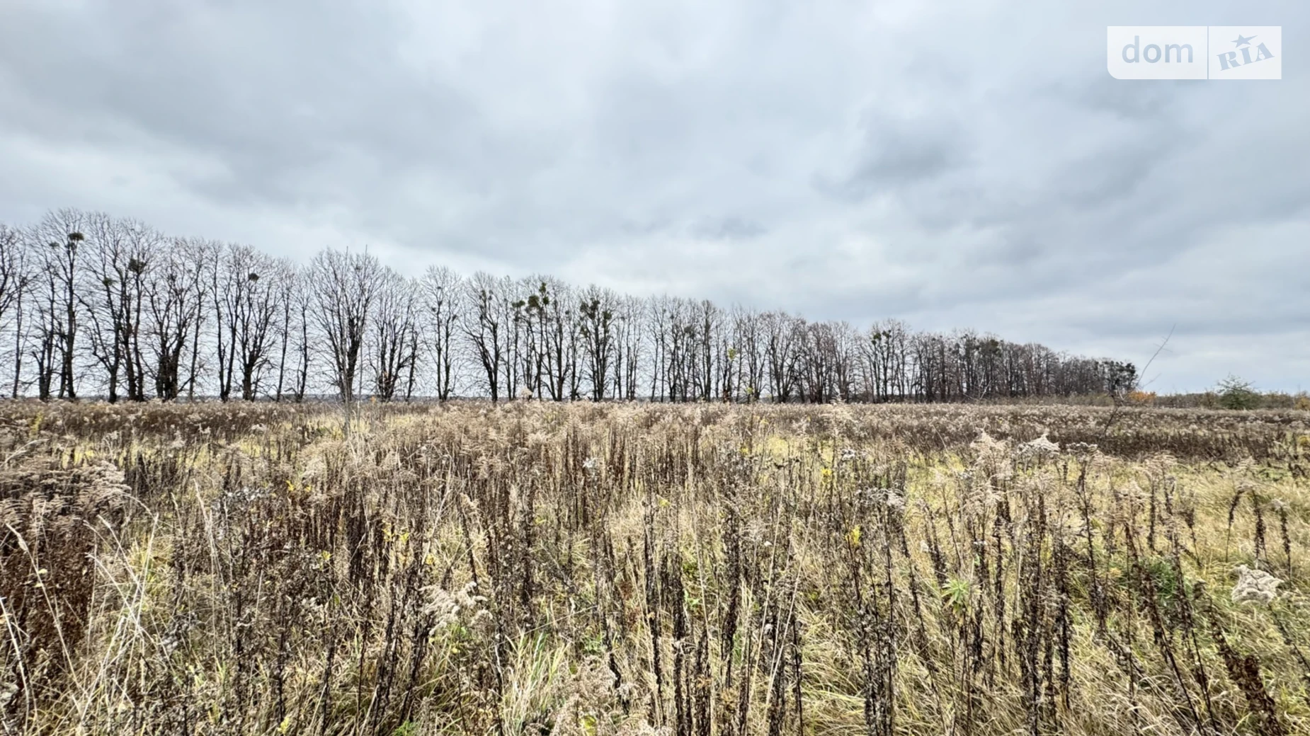 ул. Скифская Якушинцы, цена: 18000 $ - фото 4