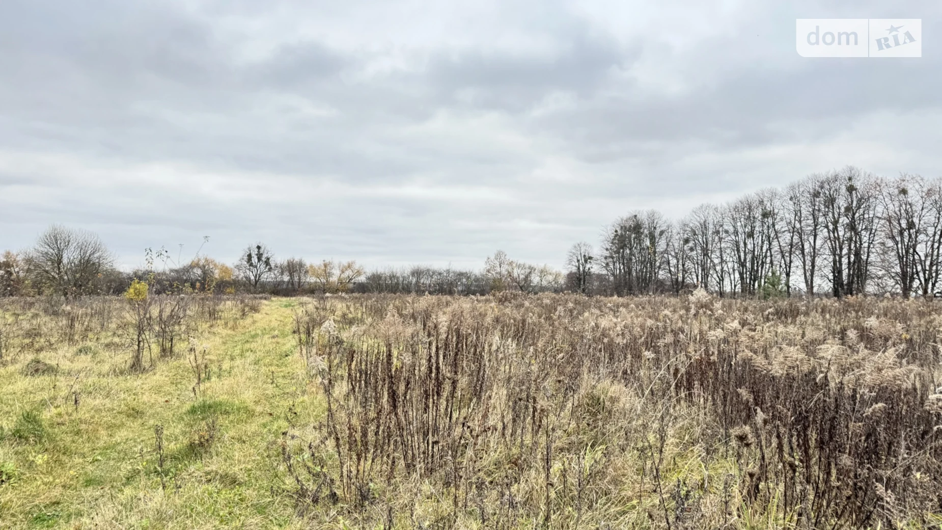 ул. Скифская Якушинцы, цена: 18000 $ - фото 5