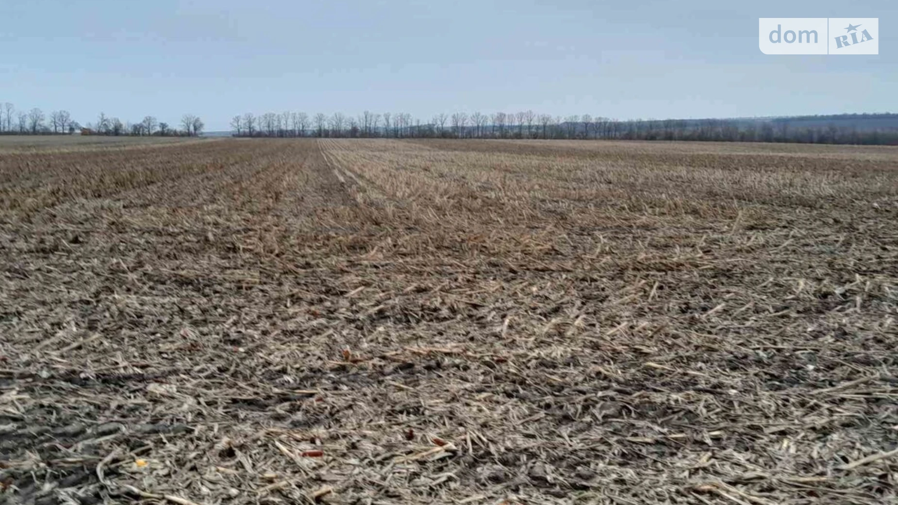 Сдается в аренду земельный участок 7.7034 соток в области, цена: 34933 грн - фото 2