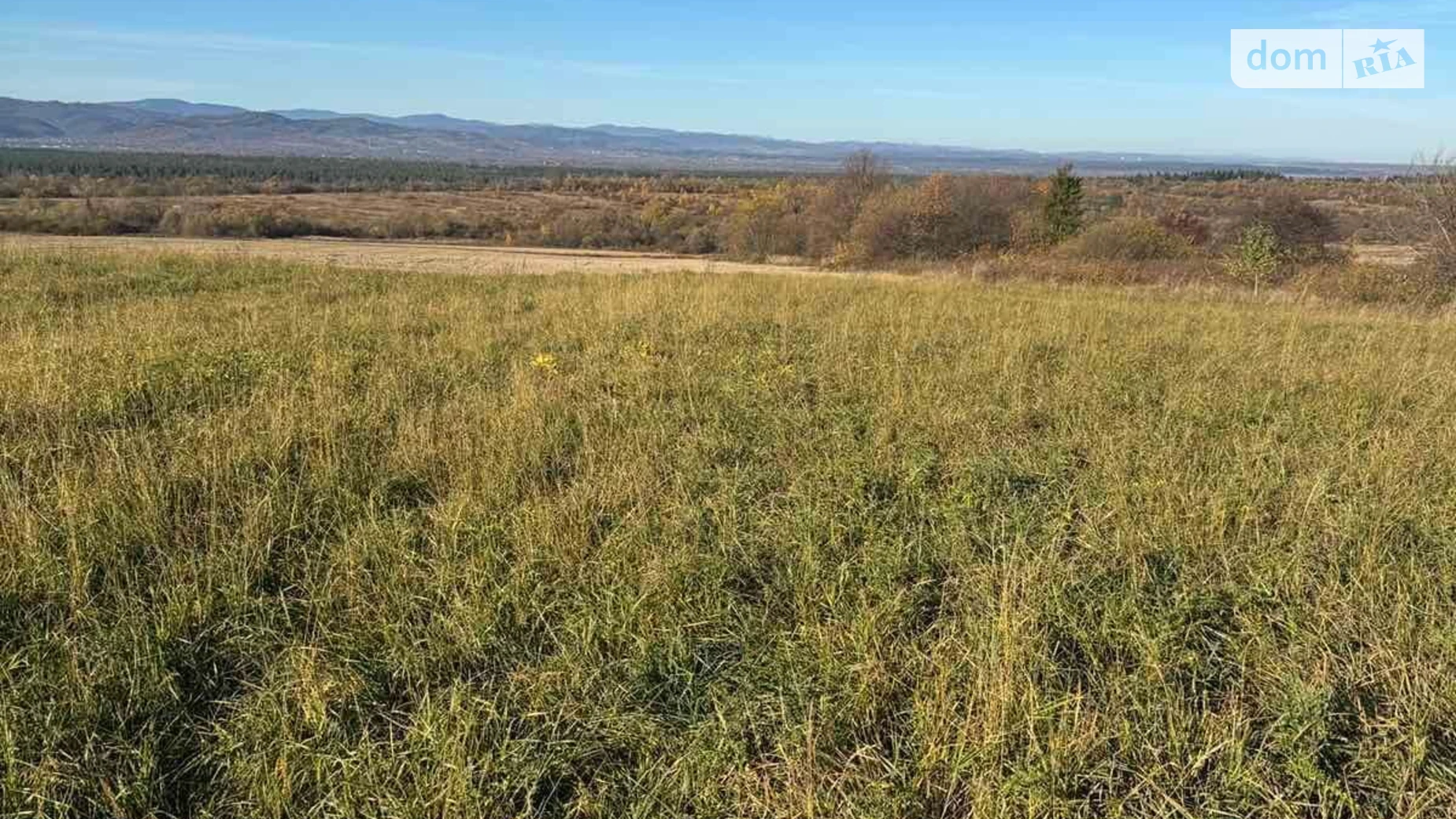 Здається в оренду земельна ділянка 5.1896 соток у Івано-Франківській області, цена: 8652 грн - фото 3